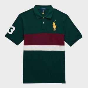 Polo Ralph Lauren Kids Boy's Striped Embroidered Mesh Polo Shirt